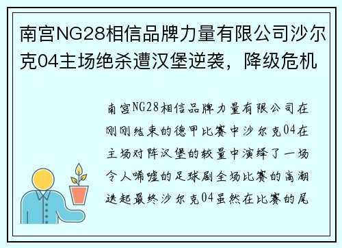 南宫NG28相信品牌力量有限公司沙尔克04主场绝杀遭汉堡逆袭，降级危机愈发严重 - 副本